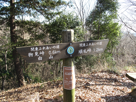 20170126hike (139)